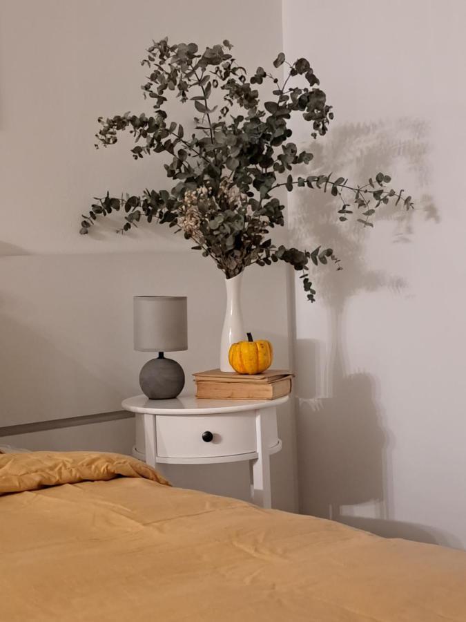 Apartman Karmen 보디체 외부 사진