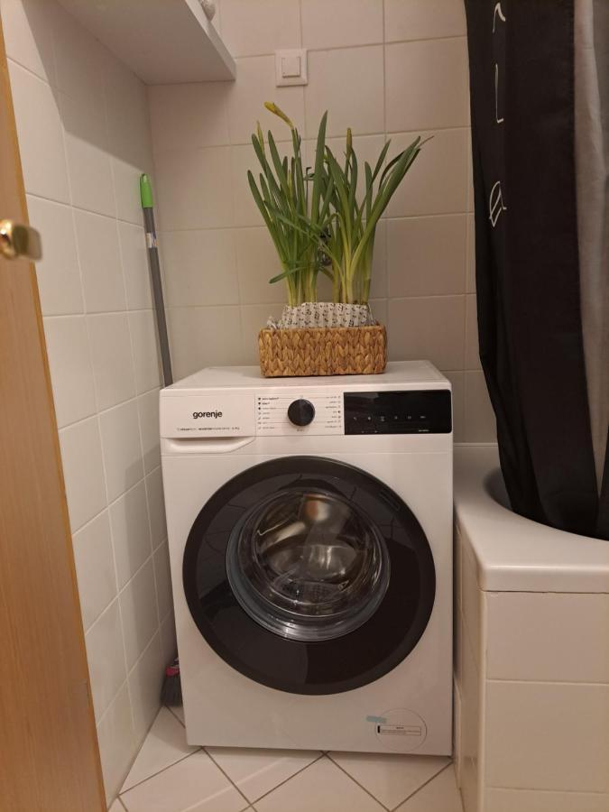 Apartman Karmen 보디체 외부 사진